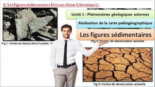 les figures sédimentaires liées au climat  SVT 1 BAC sciences expérimentales option français [upl. by Lleznod]