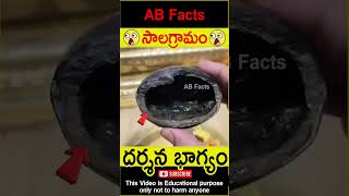 🙏సాలగ్రామం🙏 Mahavishnu roopam in shaligram telugufacts vishnupuran shorts youtubeshorts abfacts [upl. by Ramey516]