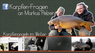 Karpfenangeln im Winter Die besten Tipps von Markus Pelzer [upl. by Annahsor]