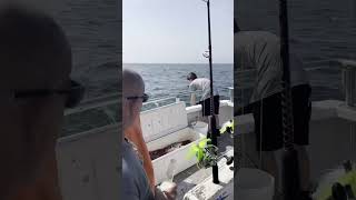 Not a smooth Gunnel Flip veterans veteranshelpingveterans inshorefishing saltwater [upl. by Emilio]