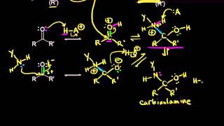 Formation of imines and enamines  Aldehydes and ketones  Organic chemistry  Khan Academy [upl. by Nevah]