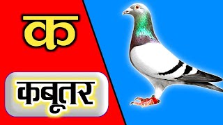 learn Hindi language varnamala pictures and song [upl. by Mauri206]