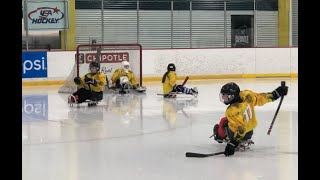 2022 National Sled Hockey Festival [upl. by Teece75]