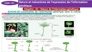 Localisation de linformation génétique dans la cellule 2 bac option francais شرح بالداريجة [upl. by Tjaden]