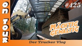 Mächtig gewaltig  Vlog 425 [upl. by Trebornhoj488]