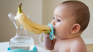 Best Baby Fruit Feeder Pacifier  A MustHave for Teething Babies buntybabli2012 [upl. by Crispa]