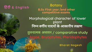 Morphological characters of lower plant Algae Bryophytes Pteridophyte [upl. by Dorrej]