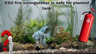 Can We Use CO2 Fire Extinguisher for Planted Tank  Must Watch Before Using CO2 in Tank [upl. by Cassie898]