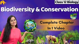 Biodiversity and Conservation Class 12 Biology One shot  CBSE NEET  NCERT Chapter [upl. by Lydnek893]