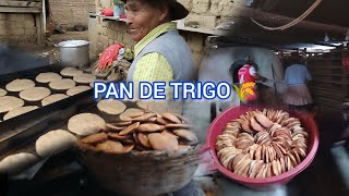 PAN DE TRIGO Nos fuimos a otro PUEBLO SOCOSPATA a hacer pan ATUN TAYTA JULIO PUMALLANQUI 🌾 ☺️💎🇵🇪 [upl. by Tadd]