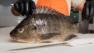 The Truth About Tilapia [upl. by Casandra]