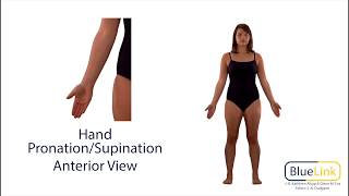 Hand Pronation Supination [upl. by Aham]