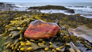 Rockhounding Port Lorne Nova scotias Bay of Fundy [upl. by Vaughn]