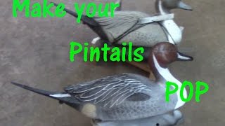 How to repaint old Pintail decoys [upl. by Acirrej]