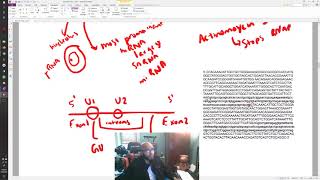 USMLE STEP 1  Biochemistry 6  Molecular  DNA Translation [upl. by Ylatan]