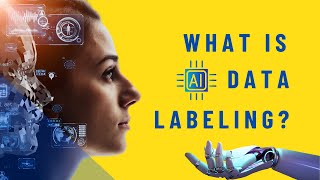 What is Data Labeling Its Types Role Challenges and Solutions  AI Data Labeling Services [upl. by Laen]