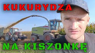 Kukurydza na kiszonkę 2023 [upl. by Kealey]