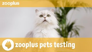 Denver  zooplus pets testing Royal Canin Hair amp Skin Care [upl. by Mcspadden]