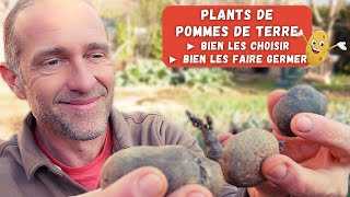 Bien choisir et bien faire germer ses plants de pommes de terre [upl. by Kitty]