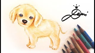 Hund zeichnen lernen 🐕 Wie zeichnet man einen Labrador 🐕 How to draw a dog 🐕 Как се рисува куче [upl. by Ijar]