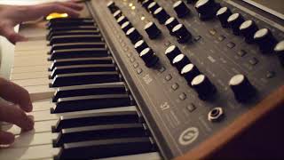 Moog Subsequent 37 Duo Mode Fun with Ventris Dual Reverb [upl. by Mourant]