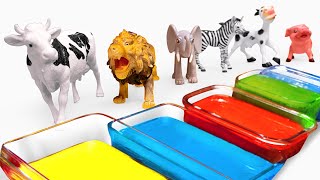 Play amp Learn Animals with Colorful Paints  Best Preschool Toddler Learning Video [upl. by Nerok358]