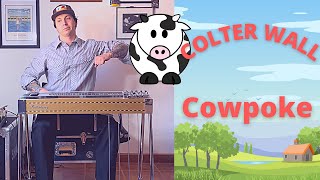 Colter Wall quotCowpokequot Pedal Steel Guitar Lesson [upl. by Virgin]