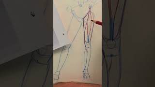 Drawing the Thigh excerpt from my NYAA Anatomy course 3 The muscles of the thigh anatomydrawing [upl. by Sioux205]