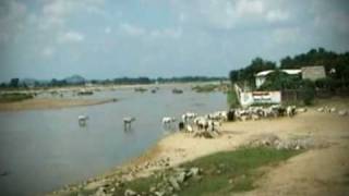 The Niranjana River  Lord Buddha sent his begging bowl Golden bowl upstream in this river [upl. by Candace]