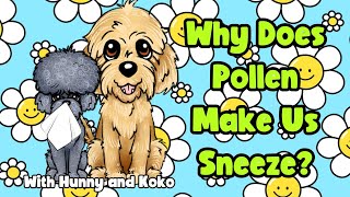 Pollen Explained For Kids  Why Does Koko Sneeze  Learning For Kids  Science For Kids  Allergies [upl. by Trin590]