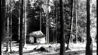 Brüderchen und Schwesterchen  1953 BRD  Ganzer Film [upl. by Nolyar]