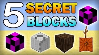 5 Secret Hidden Blocks in Minecraft [upl. by Paymar]