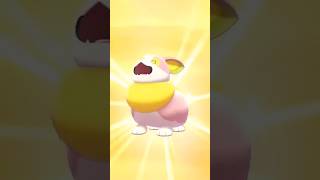 Shiny Yamper at 2003 eggs games gaming pokemon shinypokemon shiny pokemonswordshield [upl. by Aniar340]