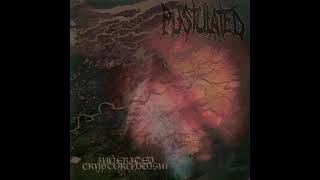 Pustulated  Inherited Cryptorchidism Full Album [upl. by Linet]