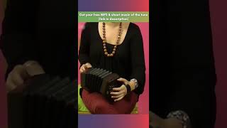 Beginner Concertina Lesson 3 🏅 EASY Scale of D [upl. by Ilat471]