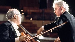 Strauss Don Quixote  Rostropovich · Karajan · Berliner Philharmoniker [upl. by Yelbmik]