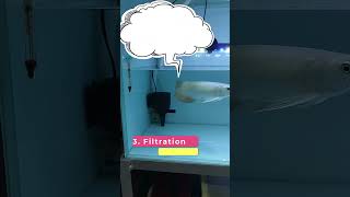 How To Maintain Aquarium Water  3 Simple Tips [upl. by Ylahtan]