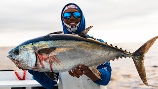 Live Baiting for BLACKFIN TUNA  Two Conchs Online TVEP 41 [upl. by Briscoe]