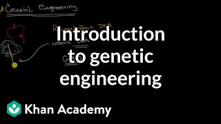 Introduction to genetic engineering  Molecular genetics  High school biology  Khan Academy [upl. by Farrand]