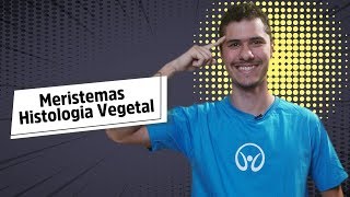 Meristemas  Histologia Vegetal  Brasil Escola [upl. by Zailer]