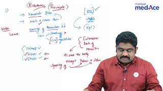 Microbiology  Rickettsia story of Rickettsia Prowazeki [upl. by Guttery]