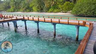 Kuramathi MALDIVES Resort 🌴🌴🌴 FULL Resort HD TOUR  FHD Vlog Maldives [upl. by Elfreda227]