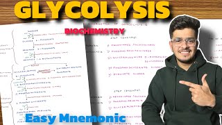 Glycolysis Biochemistry  Carbohydrate Metabolism Biochemistry  Glycolysis Pathway [upl. by Hiller]