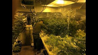 Nightmare Tenants Slum LandlordsS05E02 Cannabis Farm [upl. by Turne]