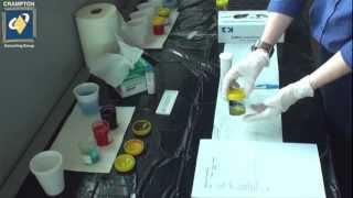 Urinalysis Demonstration [upl. by Codie936]