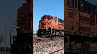 BNSF SD70ACe leads heavy BNSF Grain train bnsftrains bnsfrailway bnsf [upl. by Koslo]