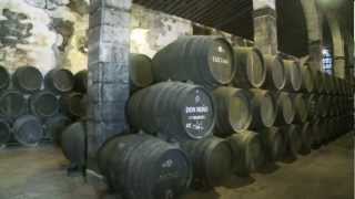 Sherry Wine of Andalucía [upl. by Judas]