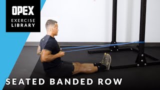 Seated Banded Row  OPEX Exercise Library [upl. by Rabkin]