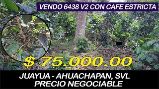 7500000 SE VENDE 6438 V2 CON ARBOLES DE CAFE DE CALIDAD EN JUAYUA INF 78089816 [upl. by Aiciles800]