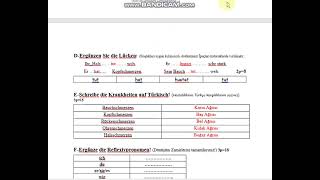 11Sınıf Almanca 1Dönem 2Yazılı [upl. by Niddala]